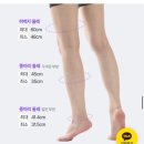 (주)로츠 | 풀리오 허벅지 마사지기 풀리지 내돈내산 후기 / 장단점 비교 / 실제 사용 후기