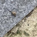 나도한다 스마트폰 교실 이미지