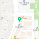 퍼피 비비드 강아지분양 하남미사본점 이미지