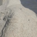 주식회사건우조경