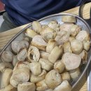 사철막창
