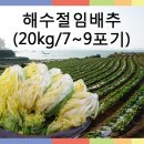 ★ 땅끝 해남 해수절임배추(20kg) 할인 판매 안내(해남군수협 직영 판매) ★| 이미지