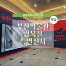 판교 통일신라~고려고분군 | [남구] 부산박물관 광복 80주년 기념 특별기획전 &lt;광복의 시간, 그날을 걷다&gt; 전시 후기 및 주차 정보