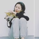 줄리엣로즈 이미지