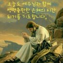 만년소녀 이미지