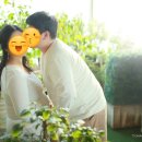 아마또마