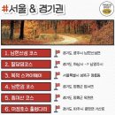 가을코스 이미지