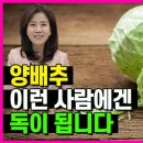 양배추 먹으면 안되는 분(장상피화생이나 만성 위축성 위염으로 속이 쓰린 분, 이쁜 여한의사 이미지