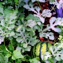 심원농장 이미지