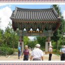 메기대감 이미지