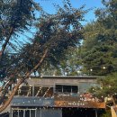 풍천뻘장어 | [경기도 파주 맛집] 풍천뻘장어 : 파주 장어구이 맛집...뷰 맛집, 노지뻘장어 복껍데기무침 후기...