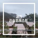 포레스트21 | 제천 리솜포레스트 S30 빌라 후기｜21개월 아기와 다녀온 숲속 가족여행 추천