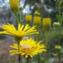 팔용산 체육공원 이미지