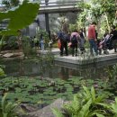 서울식물원 이미지