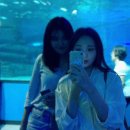 이태리부부 이미지