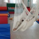 심리운동센터 숲 이미지