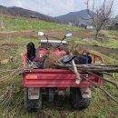 꿀벌식당 | [Change X 프로젝트] 미니 윙윙꿀벌식당 마무리했어요