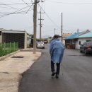 백수읍사무소 이미지