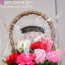 비누정원