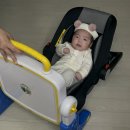 한 달에 한 번씩 필요한 것 같은