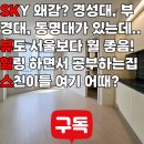 SK뷰힐스부동산공인중개사사무소 | 대연동 오피스텔 추천! 뷰 좋고 깨끗해서 학생 살기 안전한 SK뷰힐스