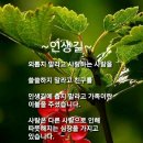 좋은느낌동행 Daum카페
