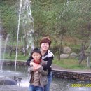 광양사슴농장 이미지