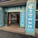 익산 고양이카페 아이캣유 이미지