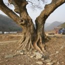 한인방