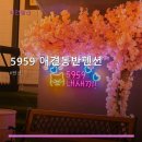 5959애견동반펜션 네이버블로그