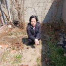 일등농약종묘도매상사 이미지