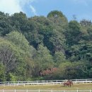 원당공원 화장실 이미지