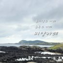 안비양 | 비양카페, 우도 카페, 비양도 카페 추천