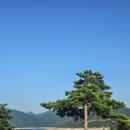 청풍호수펜션 네이버블로그