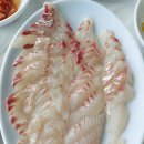 하나네회센타