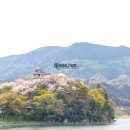 나무아래서(푸드트럭) 이미지