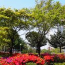 초원가든 이미지