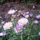 U-소백산 이미지