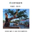 성천분재 이미지