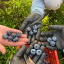 주연농장 이미지