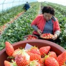 거창읍-23 이미지