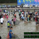 예천 4대 테마 축제(곤충페스티벌, 은붕어잡이, 용궁순대, 삼강막걸리 축제)준비 한창.. 이미지