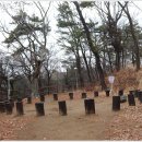 동산1로 Daum카페