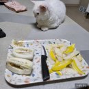 꾸브라꼬 연산점 네이버블로그