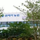 테마민박 이미지