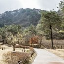 홍천명품거리 이미지
