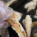 비전동 소로 3-21 | 평택 비전동 맛집 한식뷔페 스타일로 푸짐하게 즐긴 달빛에구운고등어