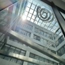 꿈꾸는 자작나무 이미지