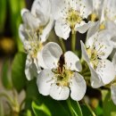 행복한 식품 이미지