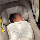 어원4 | 디어원 산후조리원 2주 후기 (오케타니 모유수유, 룸컨디션, 스파 등)